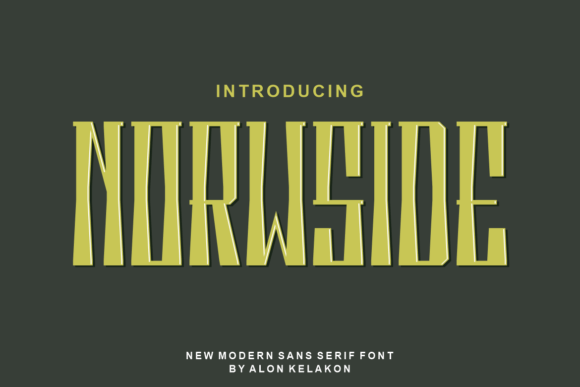 Norwside: An Elegant Display Font for Handmade Creators