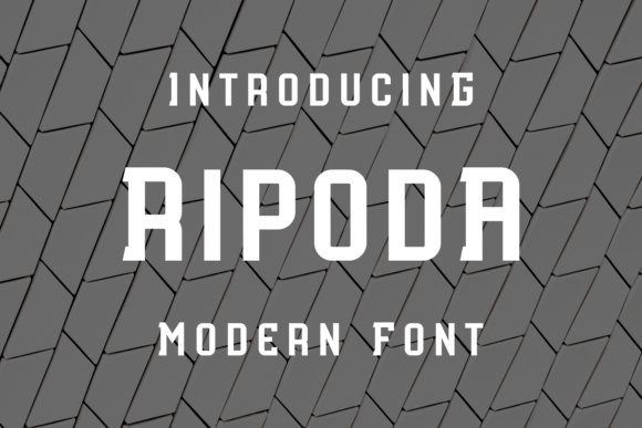 Ripoda: A Playful Display Font That Makes Handmade Products Shine